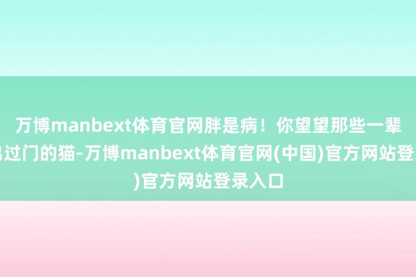 万博manbext体育官网胖是病！你望望那些一辈子没出过门的猫-万博manbext体育官网(中国)官方网站登录入口