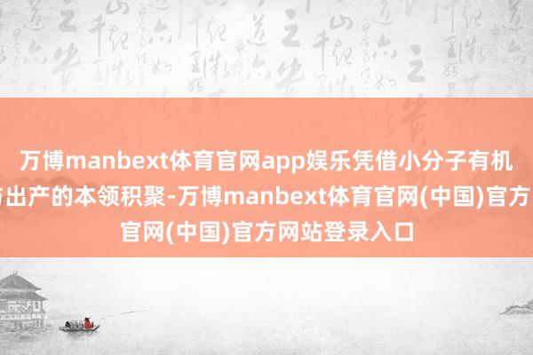 万博manbext体育官网app娱乐凭借小分子有机化合物合成与出产的本领积聚-万博manbext体育官网(中国)官方网站登录入口