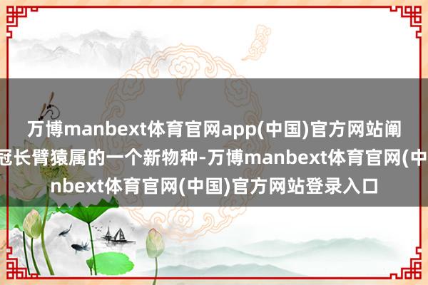 万博manbext体育官网app(中国)官方网站阐发帝国正人