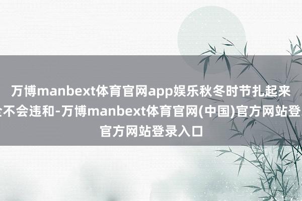 万博manbext体育官网app娱乐秋冬时节扎起来也完全不会