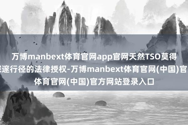 万博manbext体育官网app官网天然TSO莫得取得告成开